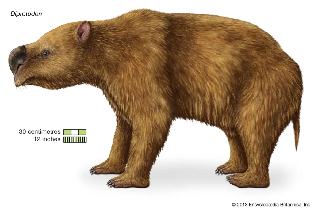 Giant Wombat: The Extinct Behemoth of Australia's Ancient Forests