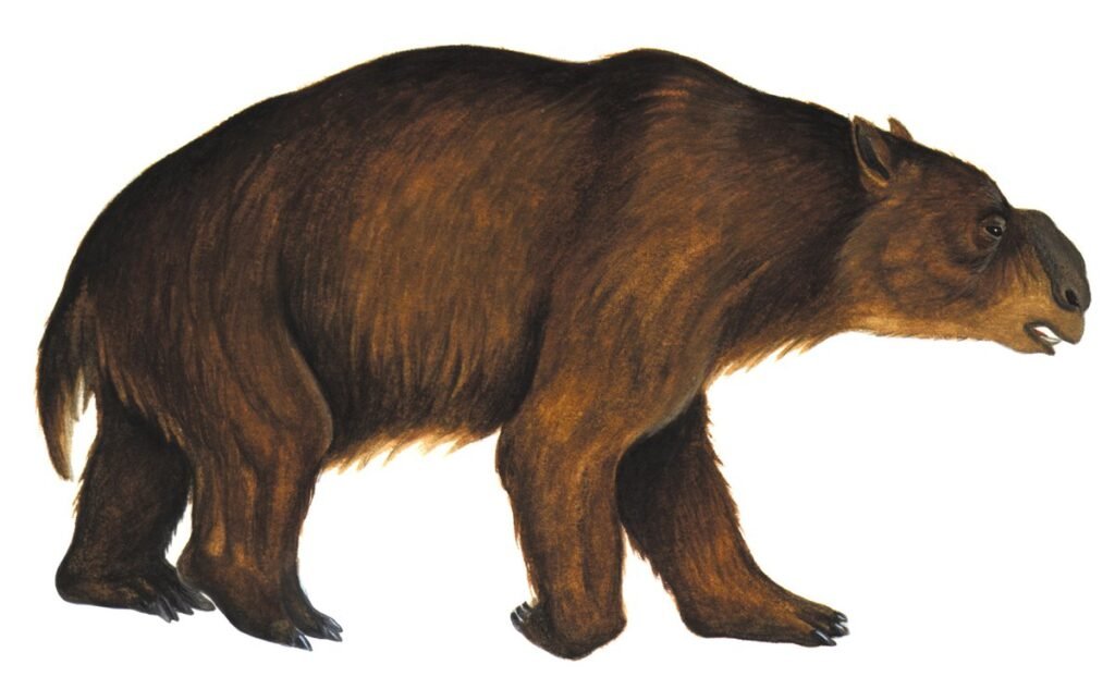 Giant Wombat: The Extinct Behemoth of Australia's Ancient Forests