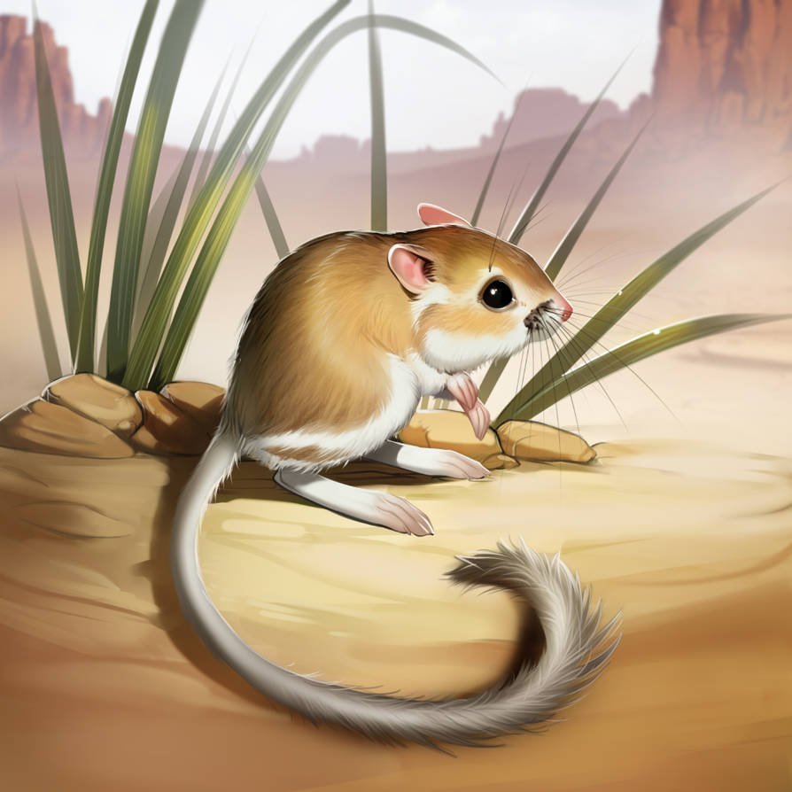 Desert Rat-Kangaroo: The Extinct Hopper of Australia's Arid Heart